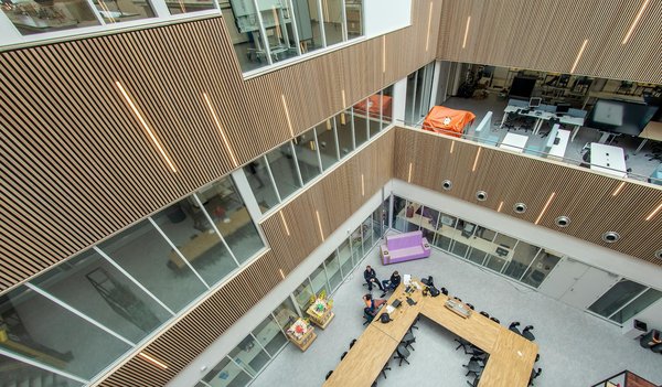 Top conseils pour un diagnostic efficace des arbres en arboriculture